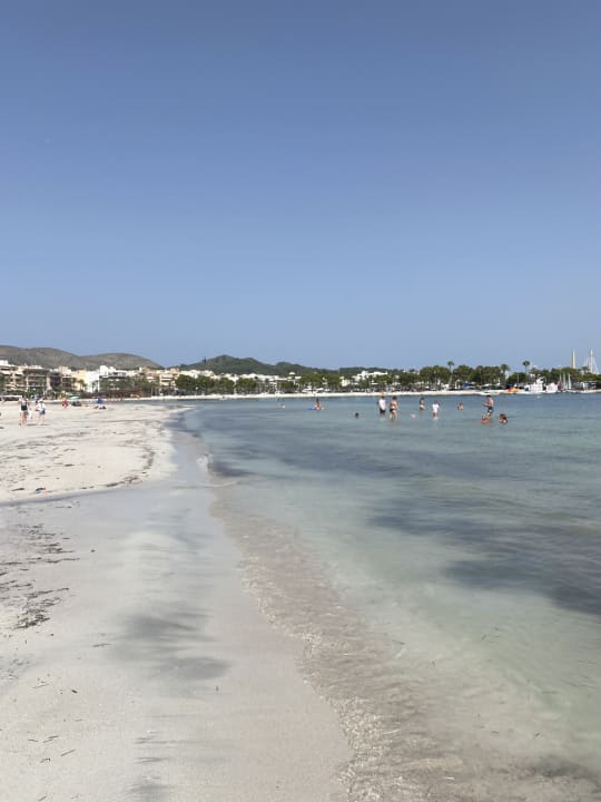 Strand Alcudia Garden Aparthotel