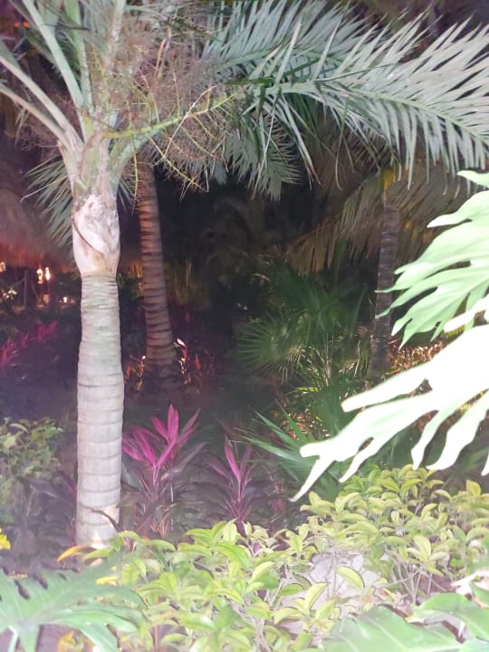 Gartenanlage Akumal Bay Beach & Wellness Resort