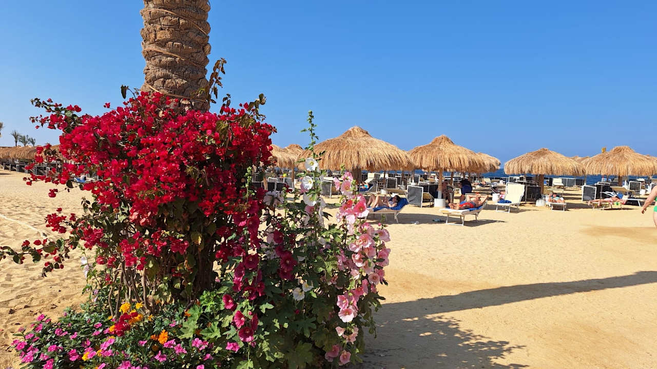 Strand Amarina Jannah Resort & Aqua Park Marsa Alam