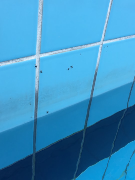 Zimmer Vantaris Palace