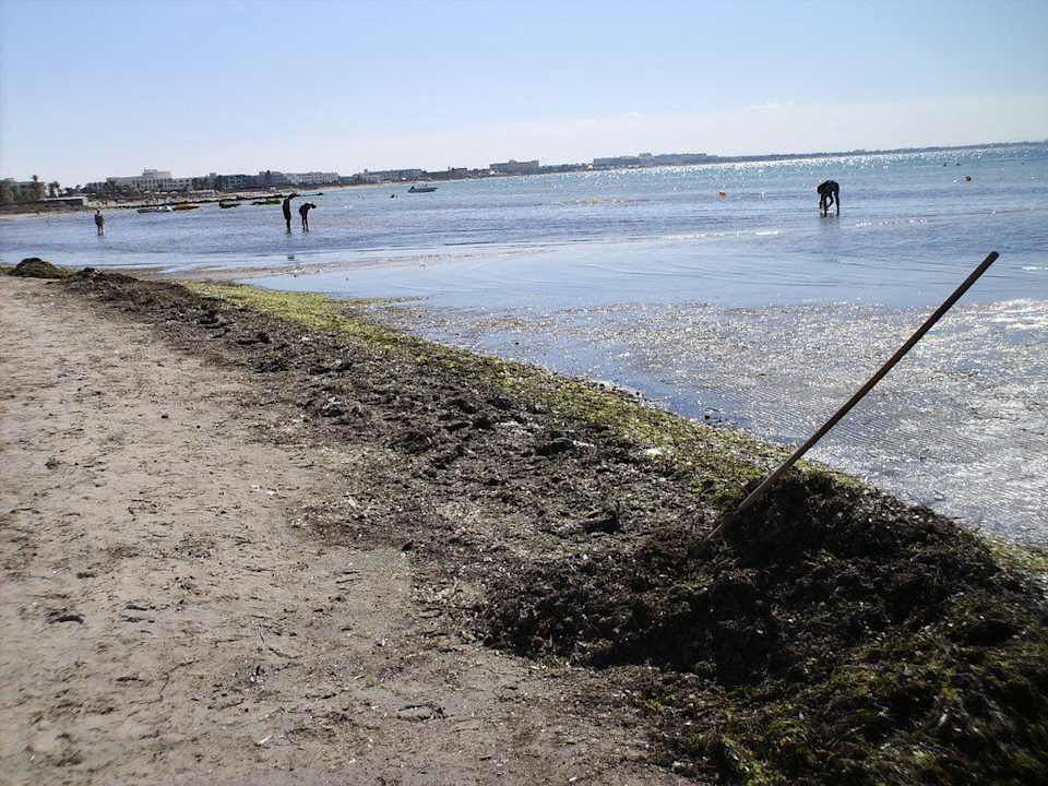 Algenwelt Hotel Rosa Beach