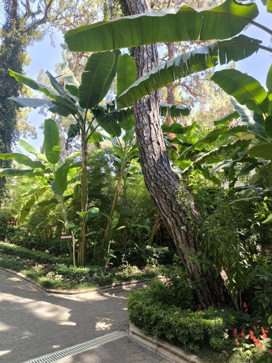 Gartenanlage Ulusoy Kemer Holiday Club