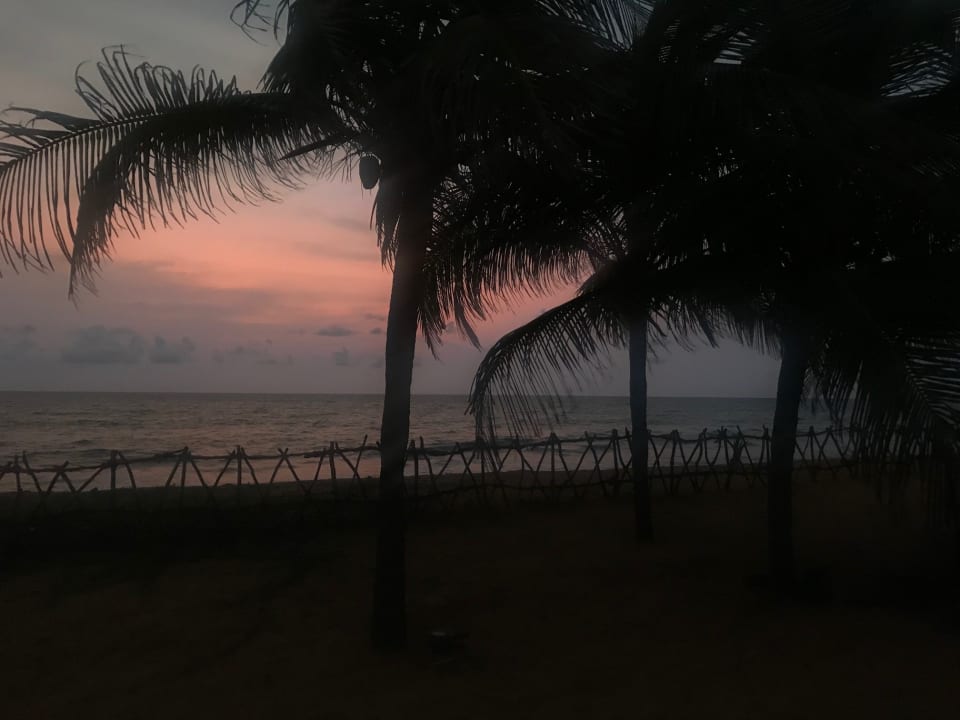 Ausblick Club Hotel Dolphin