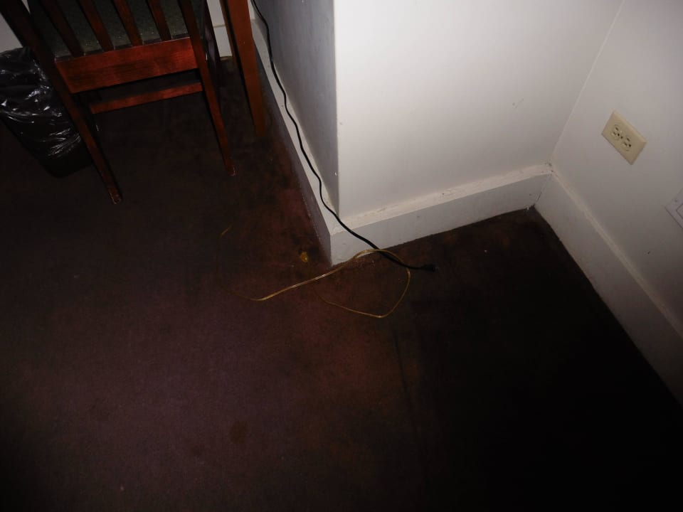 Teppich sehr schmutzig. Kabel liegen einfach da. New York's Hotel Pennsylvania