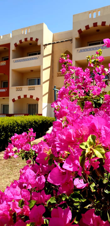 Gartenanlage Bliss Nada Beach Resort