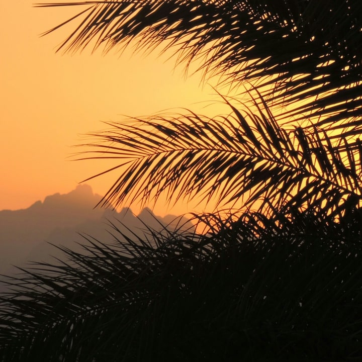 Ausblick Steigenberger Aqua Magic