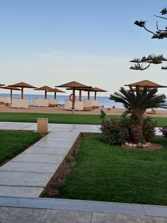 Zimmer Shams Prestige Abu Soma-Adults Only