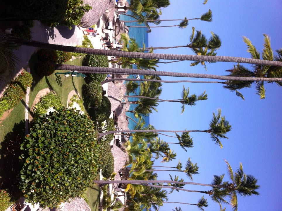 Blick vom Balkon TRS Turquesa Hotel - Adults only