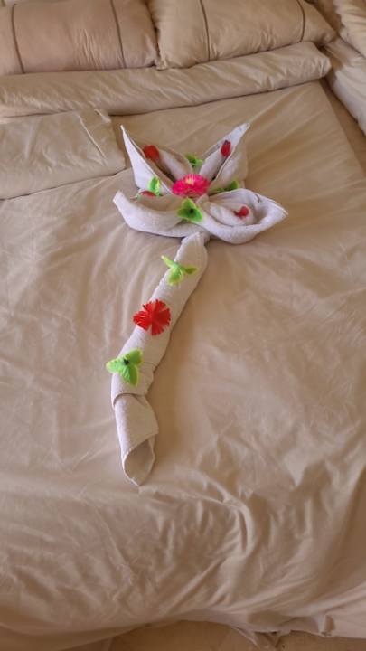 Zimmer Makadi Spa - Adults only