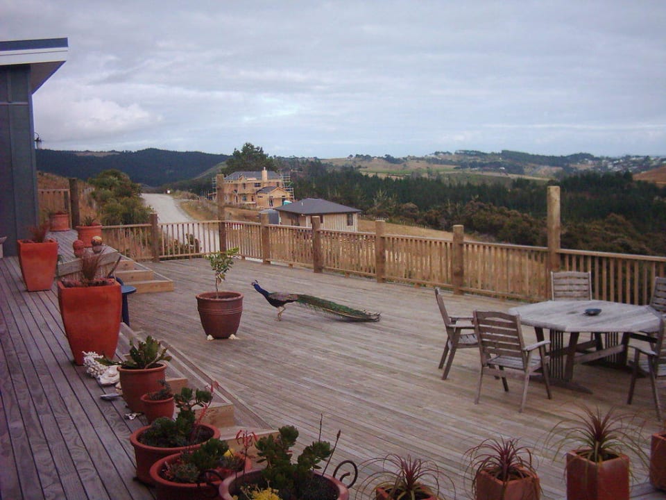 Die wunderschöne Terrasse Puketiti Lodge
