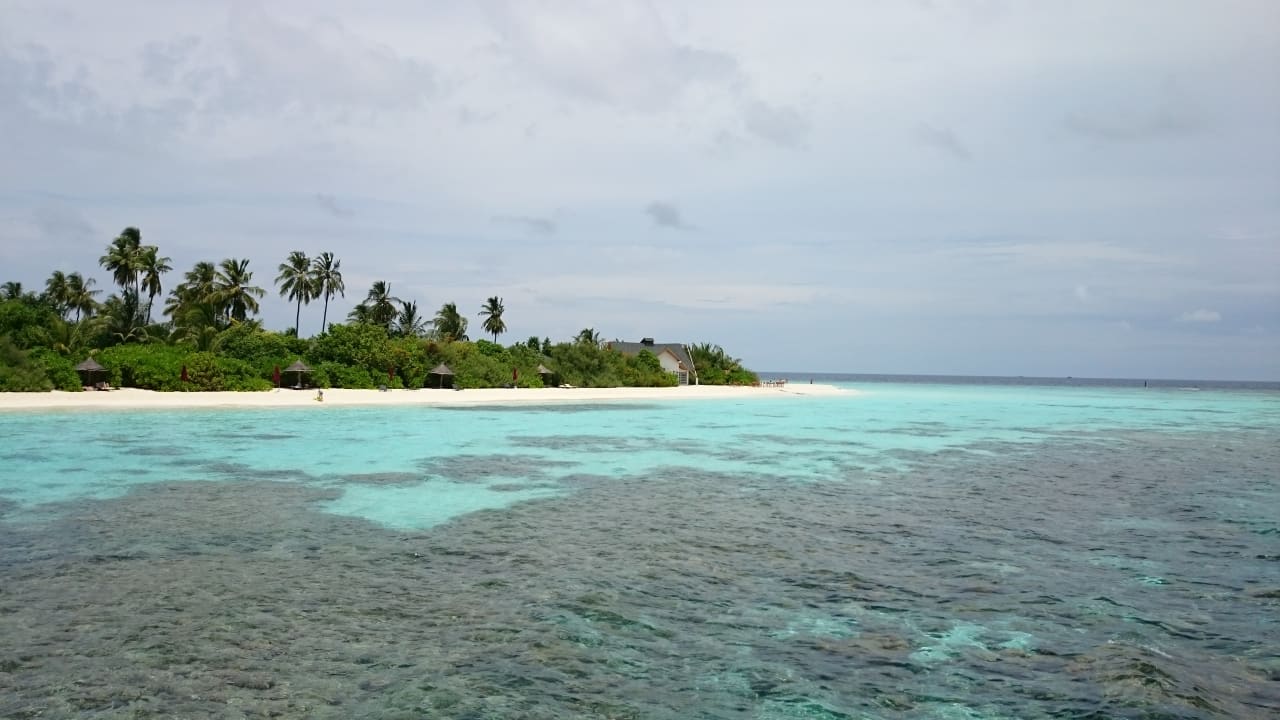 Strand - Ostseite / Riff NH Collection Maldives Havodda Resort