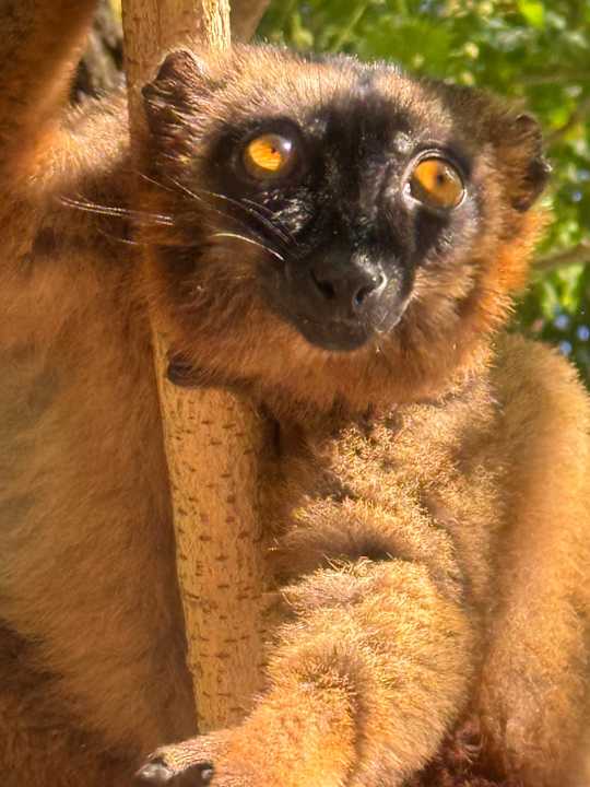 Sonstiges Jardin Maore