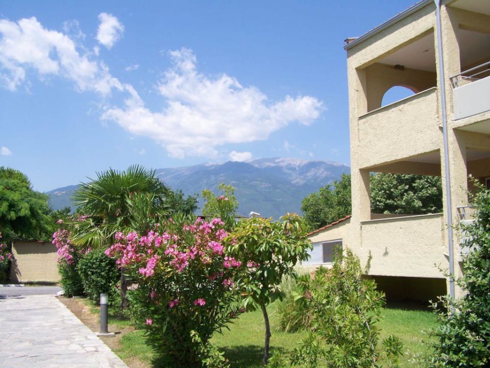 Hotelanlage und Olymp alltoura Club Hotel Poseidon Palace