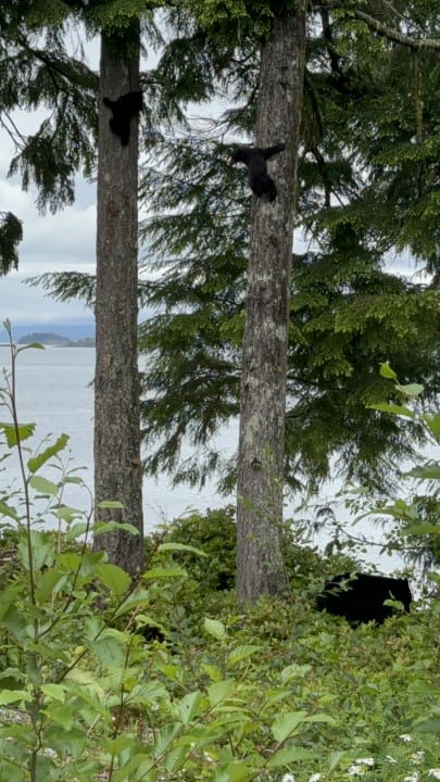 Ausblick B&B Hidden Cove Lodge
