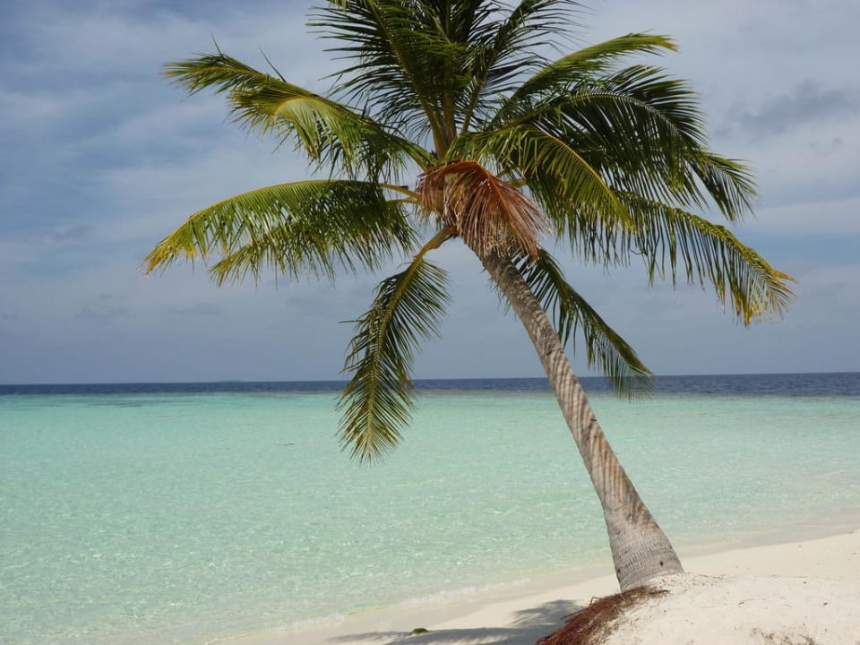 Traumstrand ROBINSON MALDIVES