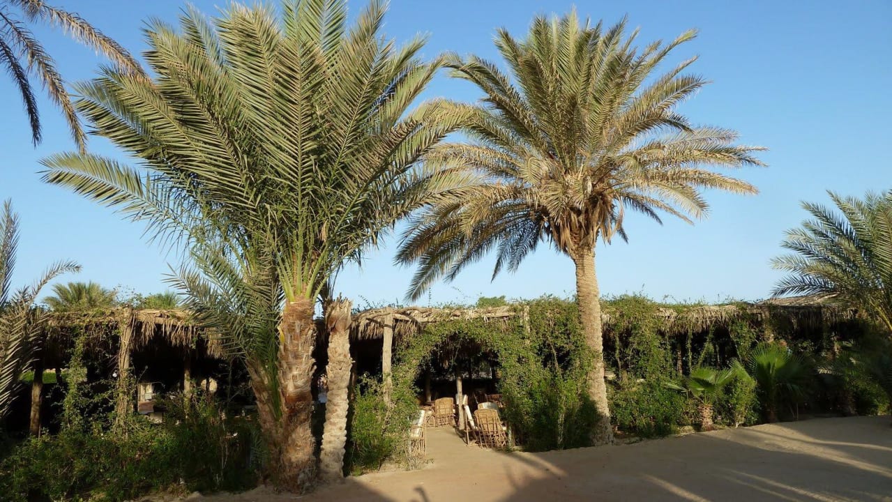 Strandrestaurant Utopia Beach Club