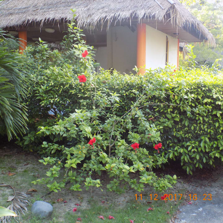 Gartenanlage Hotel Coral Island Resort