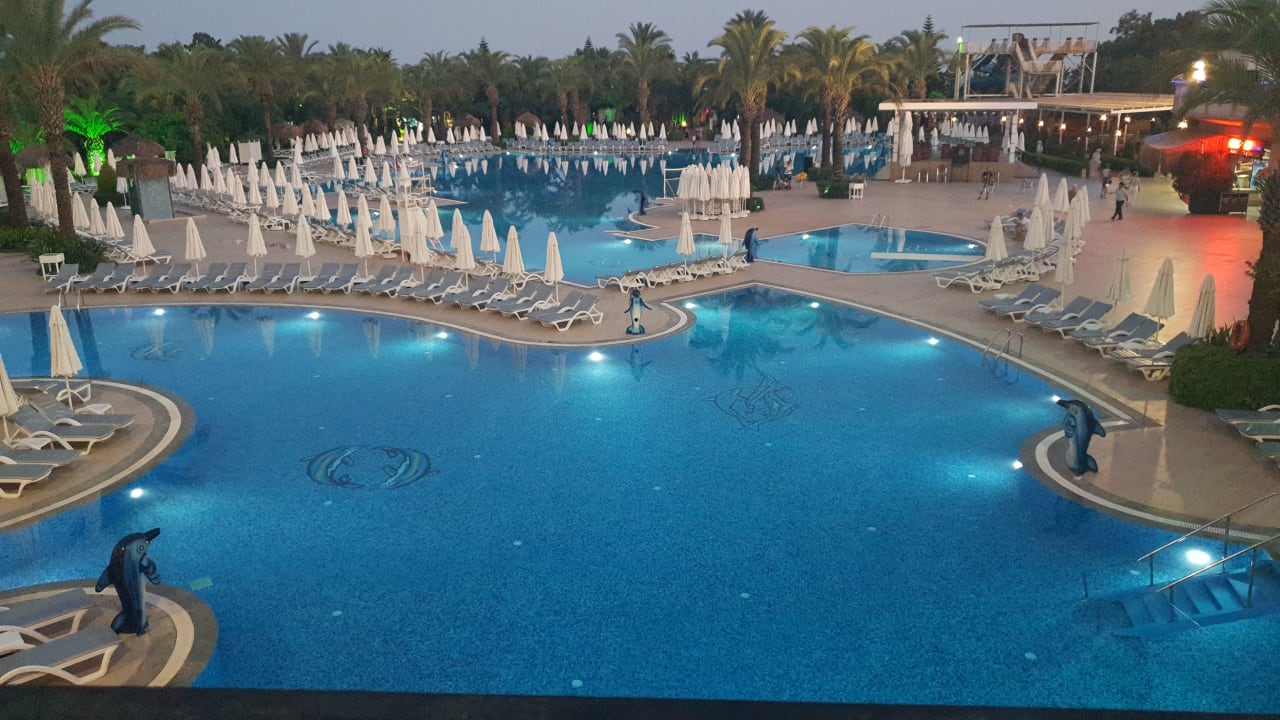 Pool Hotel Delphin Palace