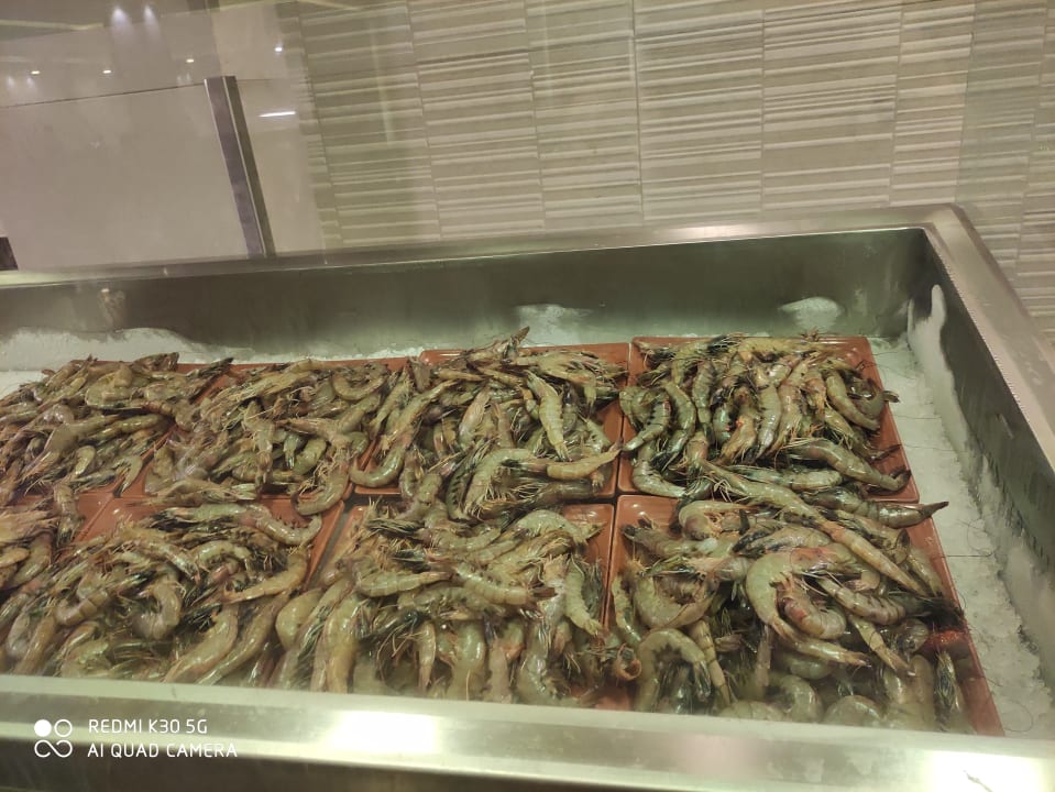 Gastro Pickalbatros Aqua Vista Resort - Hurghada