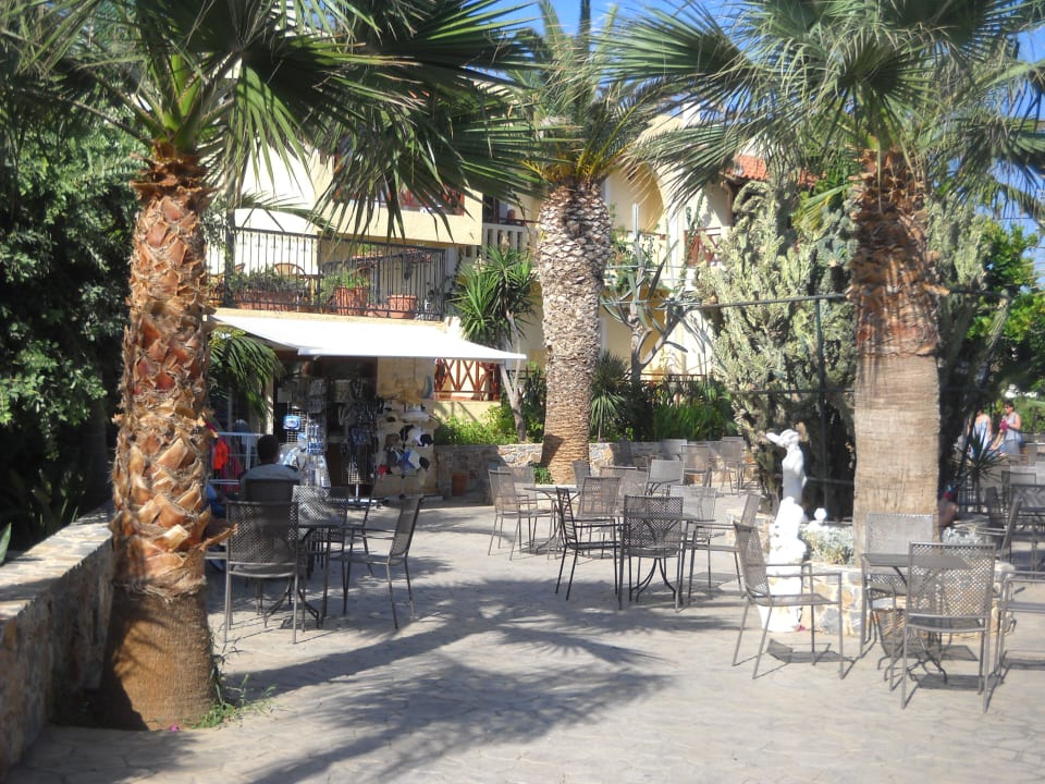Bar Cactus Beach