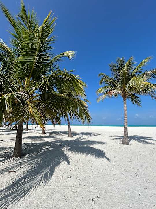 Strand Meeru Maldives Resort Island