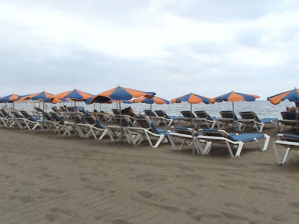 Stand Relaxia Olivina