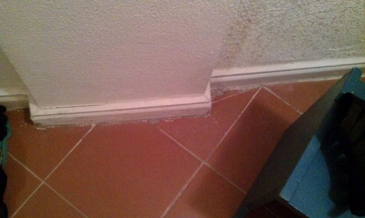 Hygiene im Zimmer überall Schimmel  Eagles Paradise Abu Soma