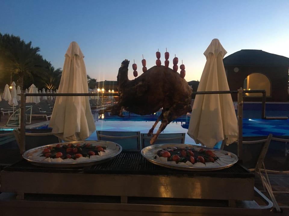 Gastro Quattro Beach Spa & Resort