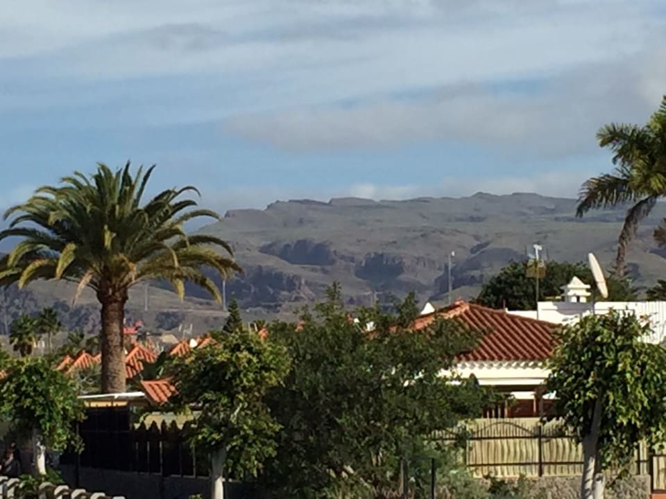 Ausblick Canary Garden Club