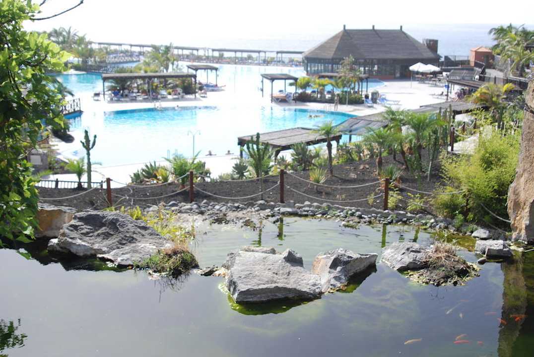 Fischteich trifft Pool La Palma Princess