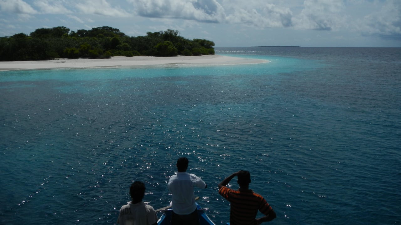 Turtle Island Snorkel Trip Angaga Island Resort