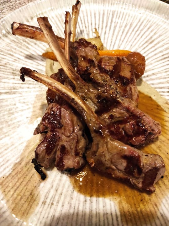 Gastro Acanthus Cennet Barut Collection