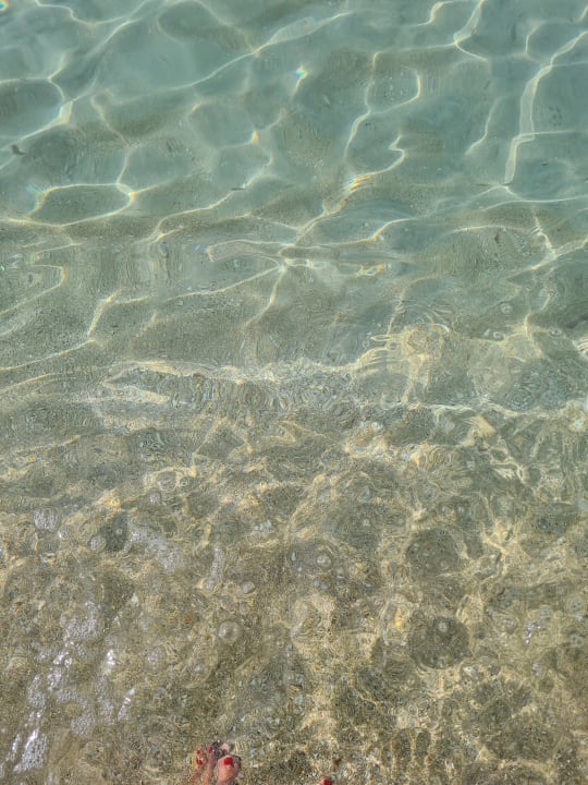 Strand Aparthotel Fontanellas Playa