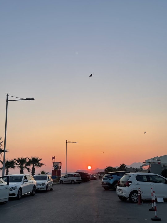 Sonstiges Pearl Beach