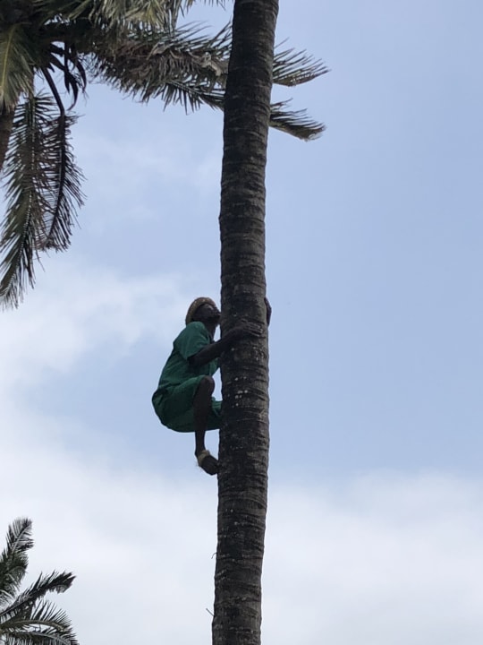 Cocos Neptune Paradise Beach Resort & Spa