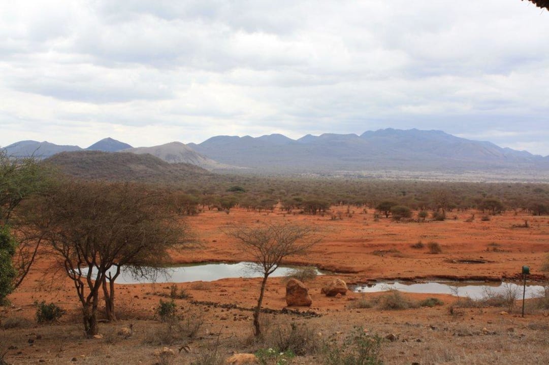 Aussicht v. Zimmer Kilaguni Serena Safari Lodge