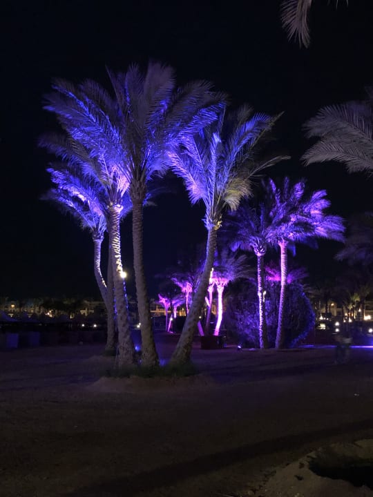 Gartenanlage Jaz Solaya