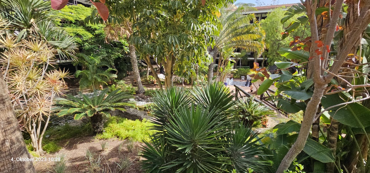 Gartenanlage Hotel Parque Tropical