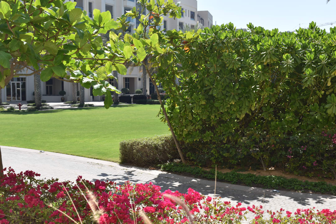 Gartenanlage Park Hyatt Abu Dhabi Hotel and Villas