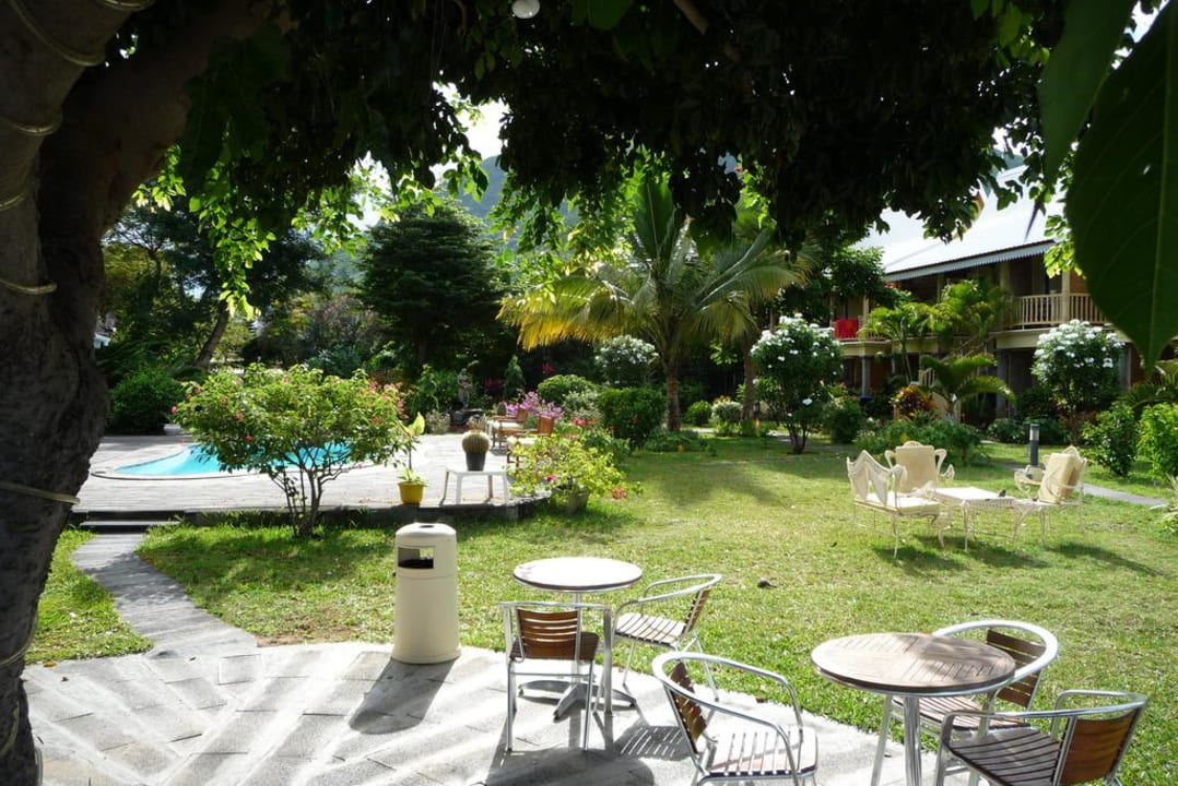 Unter dem großen Baum Hotel La Mariposa