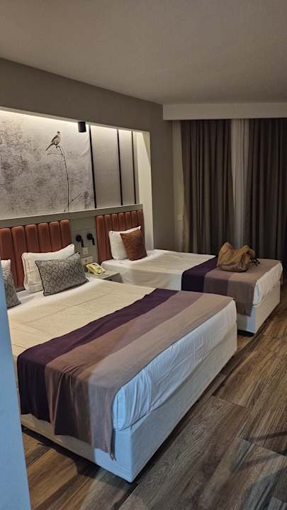 Zimmer Seaden Sea Planet Resort & Spa