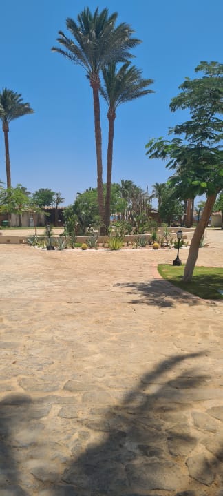 Gartenanlage Jaz Makadi Oasis Resort