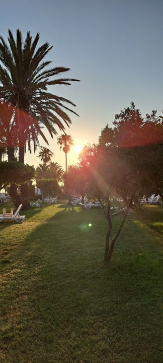 Gartenanlage Hotel Defne Garden