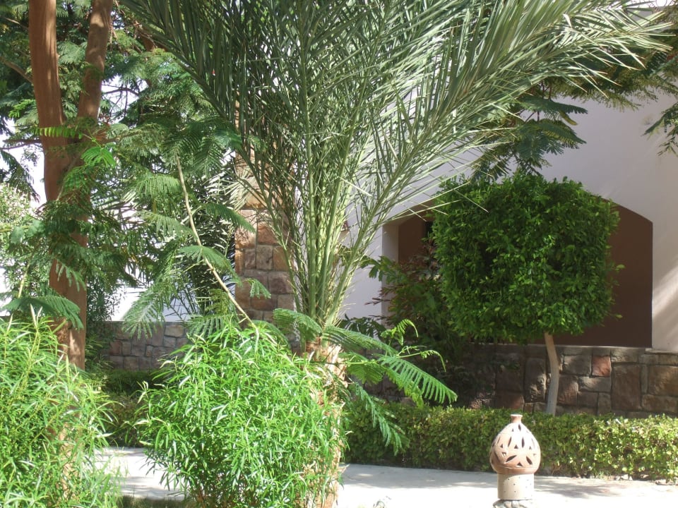 Зеленая территория Shams Alam Beach Resort