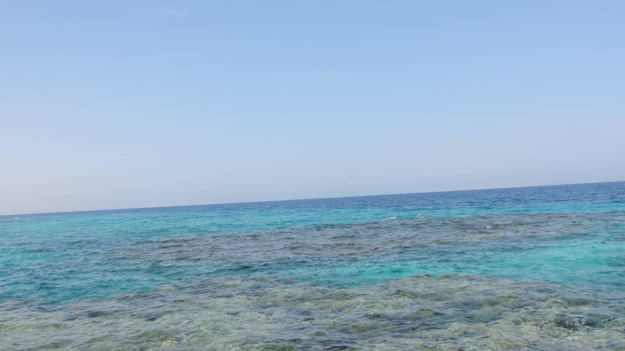 Einfach traumhaft Pickalbatros Citadel Resort