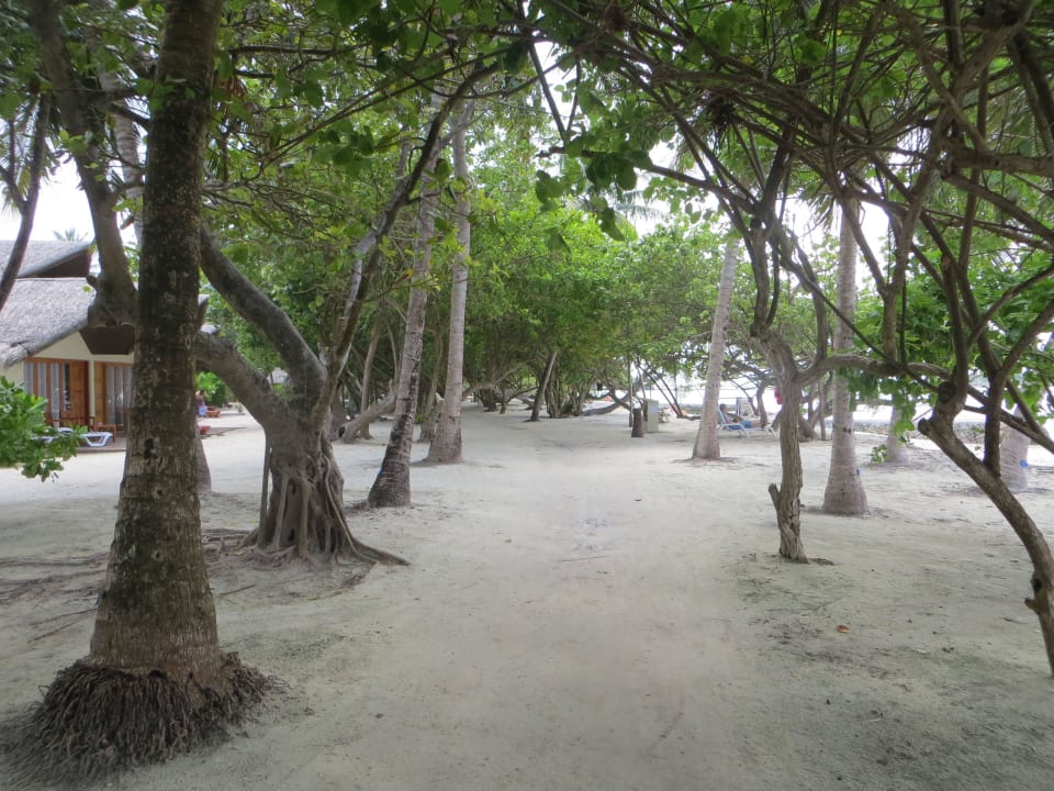 Unterwegs zwischen Strand und Bungalows Adaaran Select Hudhuran Fushi - Premium All Inclusive