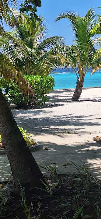 Gartenanlage Adaaran Select Meedhupparu Island Resort - Premium All Inclusive