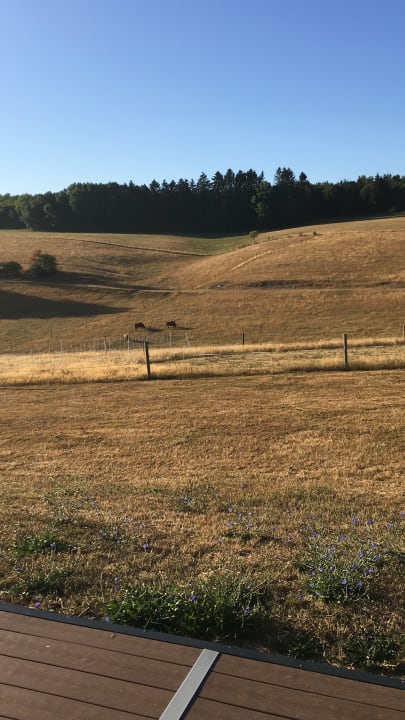 Ausblick Ferienhof Hubertushof Eifel