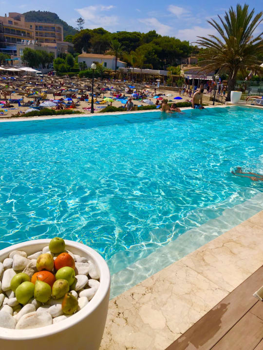 Pool Son Moll Sentits Hotel & Spa