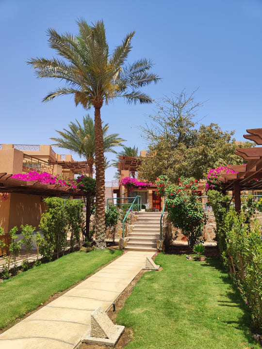 Gartenanlage Shams Prestige Abu Soma-Adults Only
